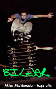 skatebilder