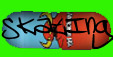 Skateboard ting